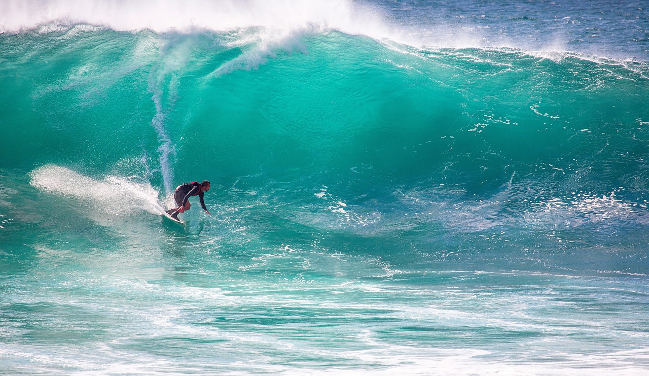 surfing, rogue wave, speed-2192775.jpg